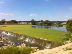 photo of Island Park Dam with an algae bloom in 2012